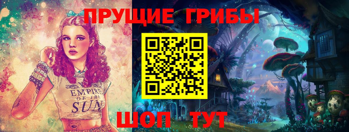 Гай  Галлюциногенные грибы Cubensis  Псилоцибиновые грибы прущие грибы  Вход с VPN 