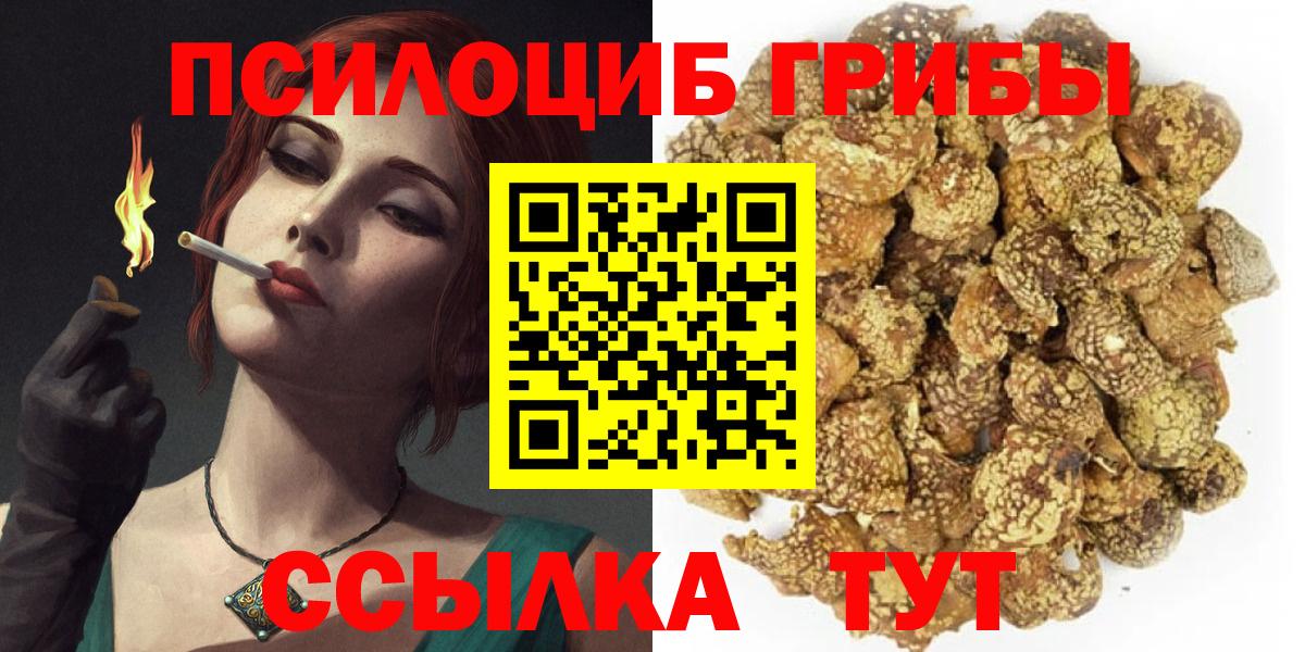 Псилоцибиновые грибы Psilocybine cubensis Гай